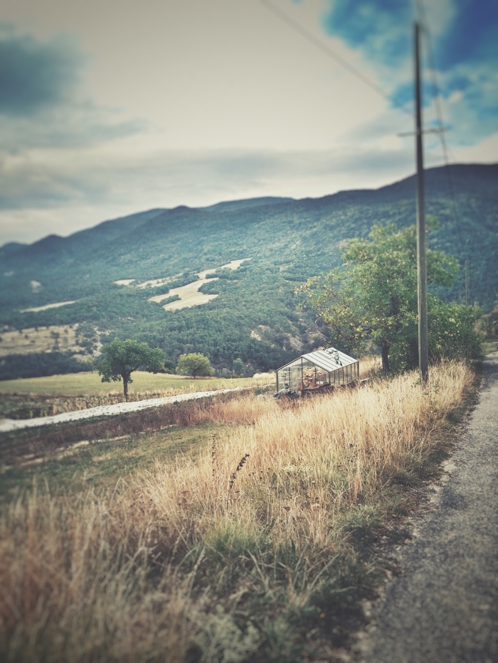 Processed with Snapseed.